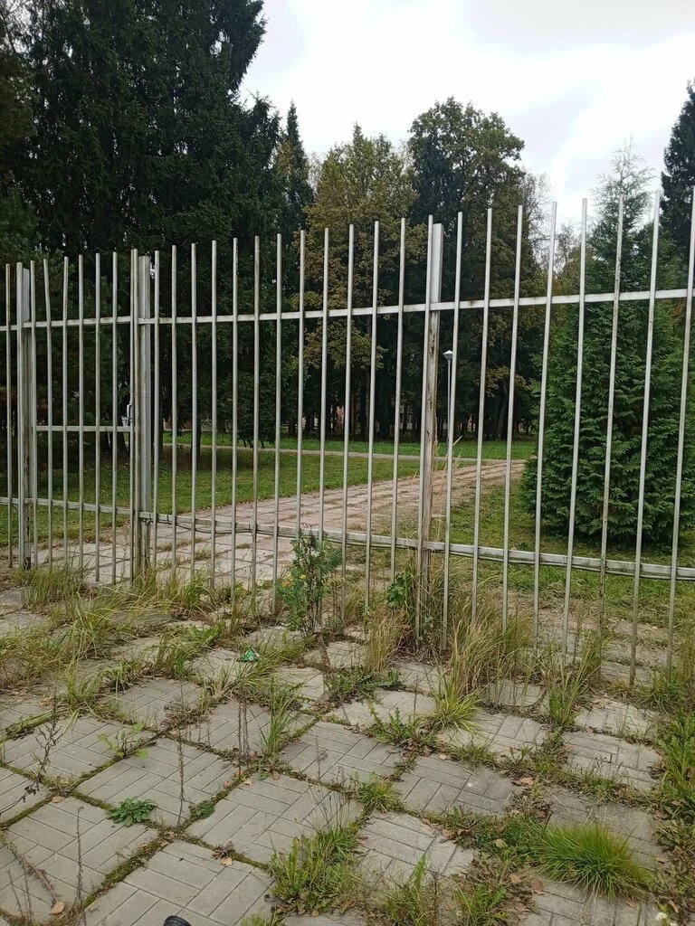 Фото Полет 7